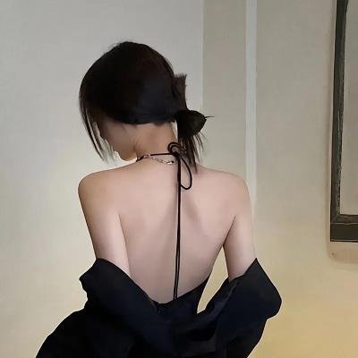 美国刺客